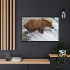 88289-74.jpg Grizzly Bear In National Park Framed Canvas