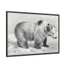 88289-80.jpg Vintage Bear Illustration by Richard Lydekker Framed Canvas