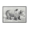 88289-81.jpg Vintage Bear Illustration by Richard Lydekker Framed Canvas