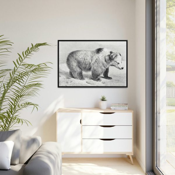 88289-83.jpg Vintage Bear Illustration by Richard Lydekker Framed Canvas