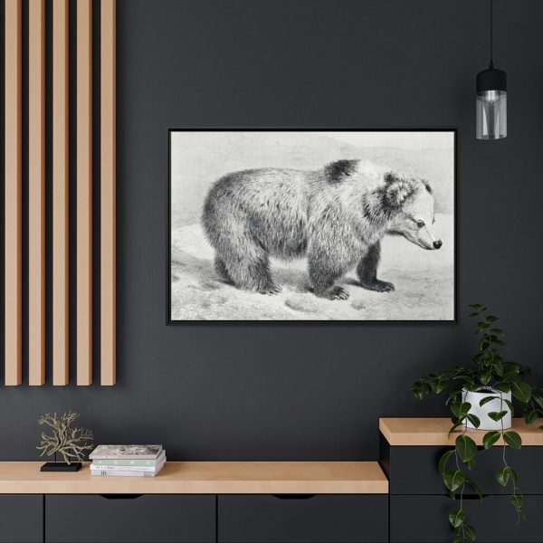 88289-84.jpg Vintage Bear Illustration by Richard Lydekker Framed Canvas