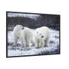 Polar Bears Walking Together Framed Canvas