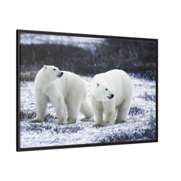 Polar Bears Walking Together Framed Canvas