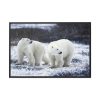 Polar Bears Walking Together Framed Canvas