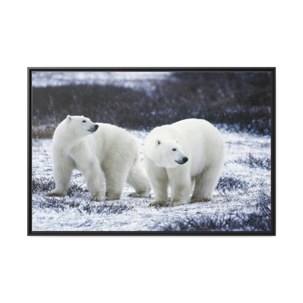Polar Bears Walking Together Framed Canvas