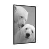 88299-15.jpg Polar Bears in the Winter Framed Canvas