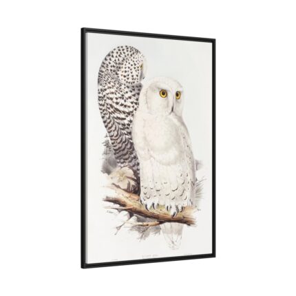 Snowy Owl by John G., Edward L. and Charles J. H. Framed Canvas