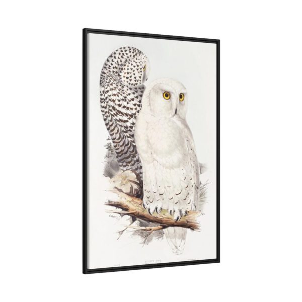 88299-175.jpg Snowy Owl by John G., Edward L. and Charles J. H. Framed Canvas
