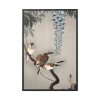 88299-191.jpg Ring sparrows at wisteria Framed Canvas