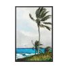 88299-86.jpg Palm Tree, Nassau by Winslow Homer Framed Canvas