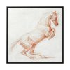 88302-1.jpg A Prancing Horse, Facing Right by George Stubbs Framed Canvas