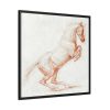 88302.jpg A Prancing Horse, Facing Right by George Stubbs Framed Canvas