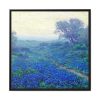 88302-121.jpg Sunrise Framed Canvas