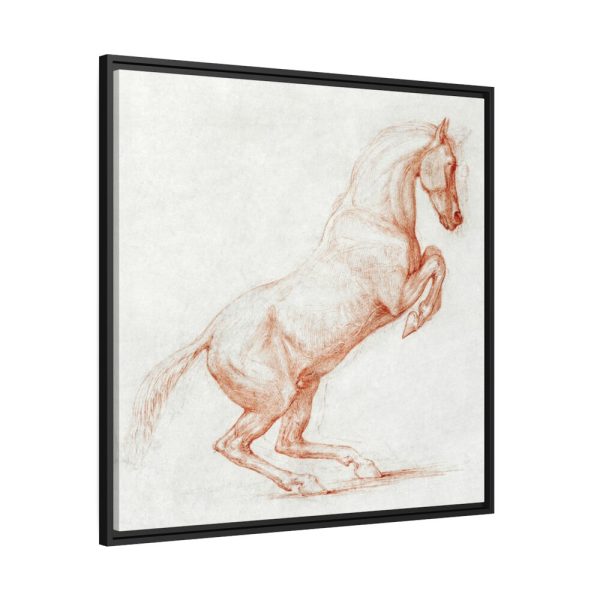 88302.jpg A Prancing Horse, Facing Right by George Stubbs Framed Canvas