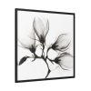 88302-65.jpg Magnolia Branch with Four Flowers Framed Canvas
