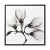 88302-66.jpg Magnolia Branch with Four Flowers Framed Canvas