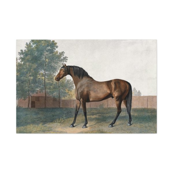 91638-1.jpg Anvil by George Stubbs Standard Canvas