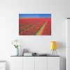 91638-102.jpg Red Tulips Field Standard Canvas