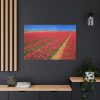 91638-103.jpg Red Tulips Field Standard Canvas
