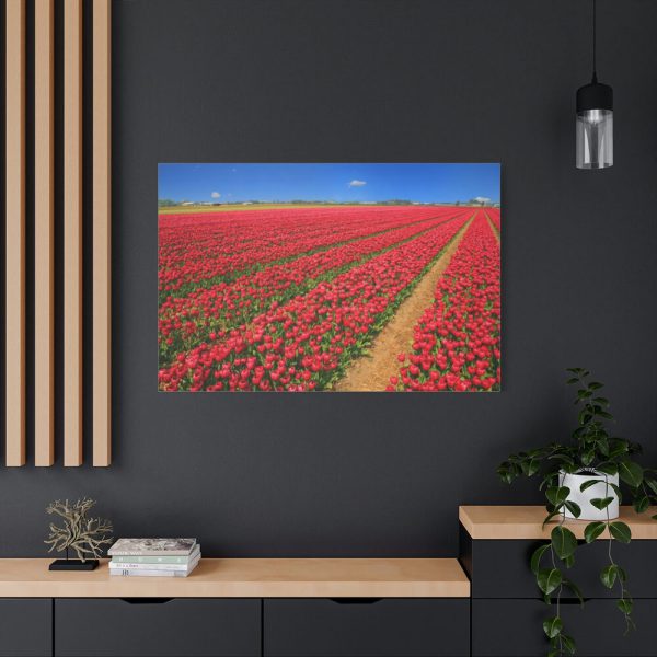91638-103.jpg Red Tulips Field Standard Canvas