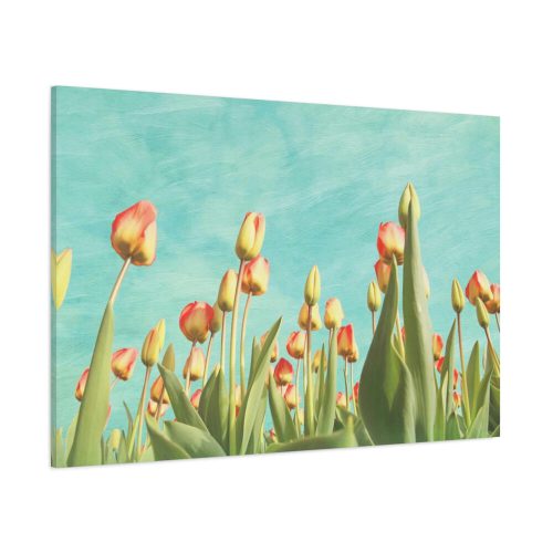 91638-105.jpg Spring Tulips Flowers Standard Canvas