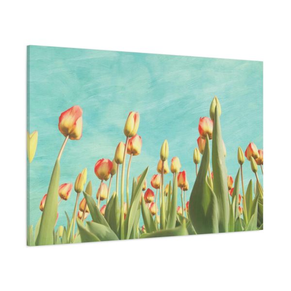 91638-105.jpg Spring Tulips Flowers Standard Canvas