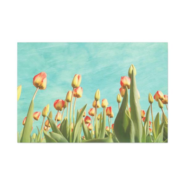 91638-106.jpg Spring Tulips Flowers Standard Canvas