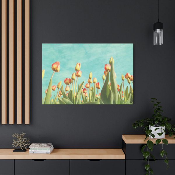 91638-108.jpg Spring Tulips Flowers Standard Canvas