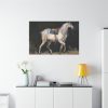 91638-17.jpg Saddled Gray Horse Walking by Jacques-Laurent Agasse Standard Canvas