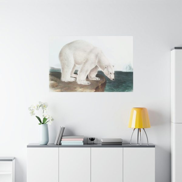 91638-37.jpg Polar Bear by John Woodhouse Audubon Standard Canvas