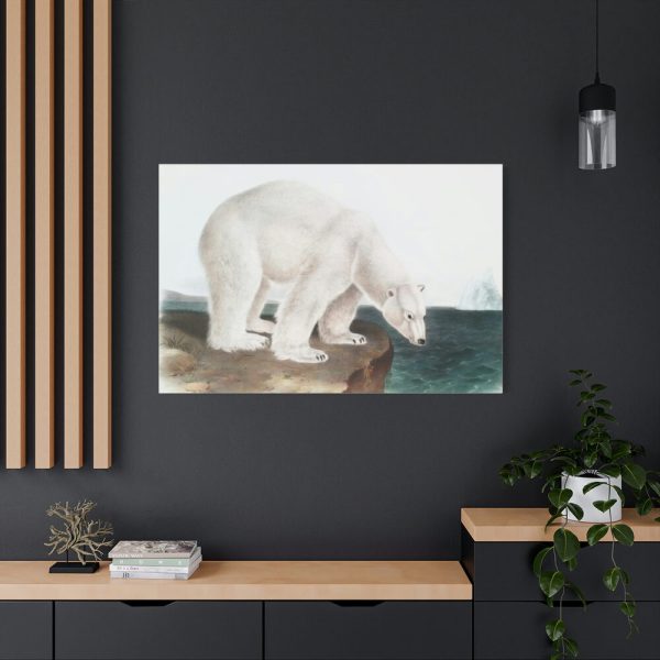91638-38.jpg Polar Bear by John Woodhouse Audubon Standard Canvas