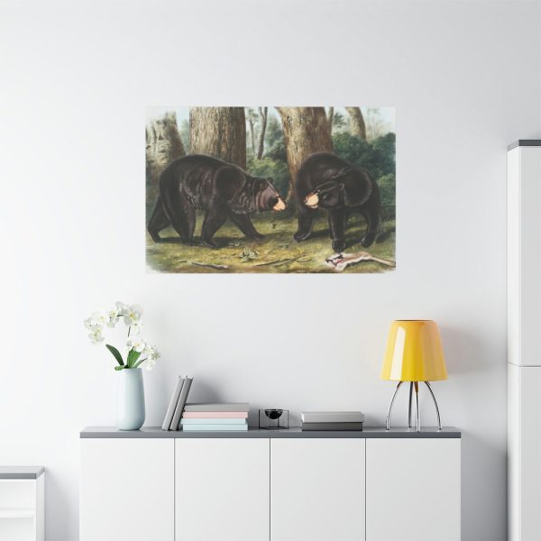 91638-42.jpg American Black Bears by John Woodhouse Audubon Standard Canvas
