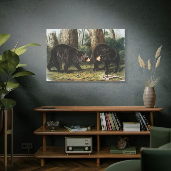 91638-44.jpg American Black Bears by John Woodhouse Audubon Standard Canvas