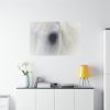 91638-47.jpg Closeup Shot of a White Horse Standard Canvas