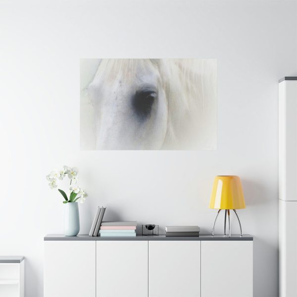 91638-47.jpg Closeup Shot of a White Horse Standard Canvas