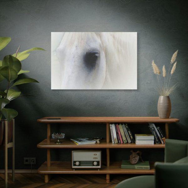 91638-49.jpg Closeup Shot of a White Horse Standard Canvas
