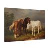 Horses after Carl Wahlbom by Magnus Von Wright Standard Canvas
