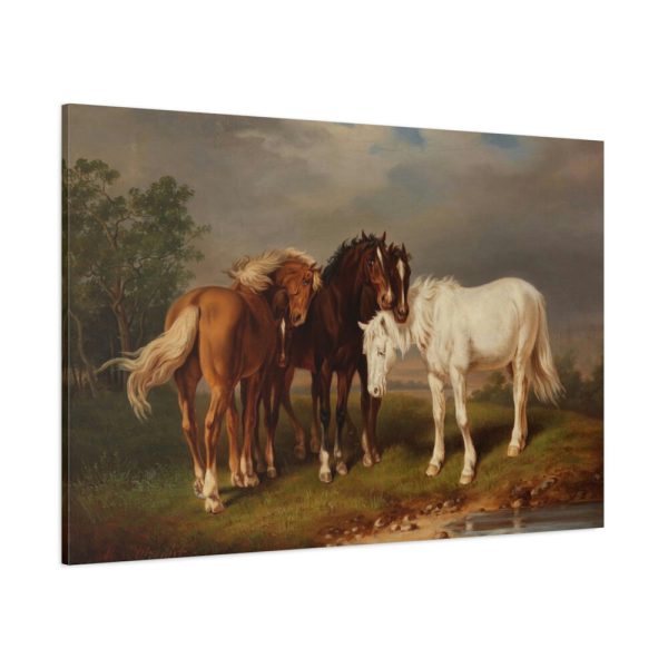 Horses after Carl Wahlbom by Magnus Von Wright Standard Canvas