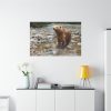 Grizzly Brown Bear Standard Canvas