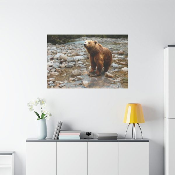 Grizzly Brown Bear Standard Canvas