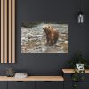 Grizzly Brown Bear Standard Canvas
