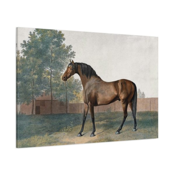 91638.jpg Anvil by George Stubbs Standard Canvas