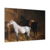 A Grey Pony and a Black Charger by Jacques-Laurent Agasse Standard Canvas