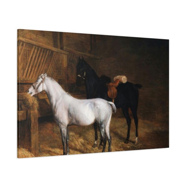 A Grey Pony and a Black Charger by Jacques-Laurent Agasse Standard Canvas