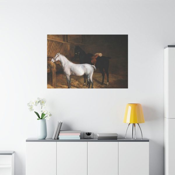 A Grey Pony and a Black Charger by Jacques-Laurent Agasse Standard Canvas