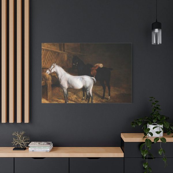 A Grey Pony and a Black Charger by Jacques-Laurent Agasse Standard Canvas