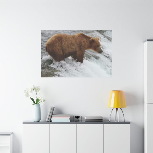 91638-72.jpg Grizzly Bear In National Park Standard Canvas
