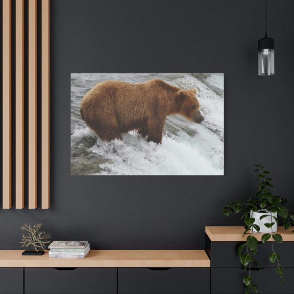 91638-73.jpg Grizzly Bear In National Park Standard Canvas