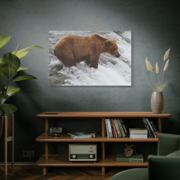 91638-74.jpg Grizzly Bear In National Park Standard Canvas
