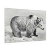 91638-75.jpg Vintage Bear Illustration by Richard Lydekker Standard Canvas
